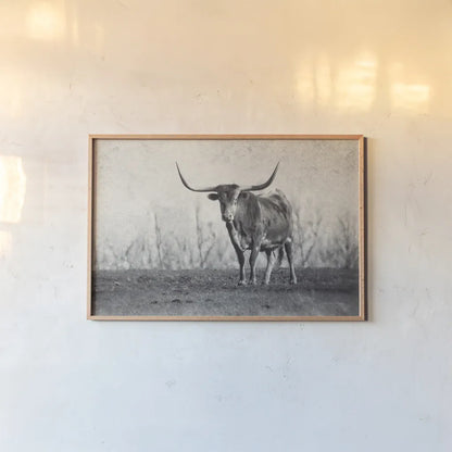 A Texas Longhorn by Debra Van Swearingen. shown as a paper print in a natural frame. Available as a archival giclee rolled canvas, fine art paper, or poster print. SKU 81058i.
