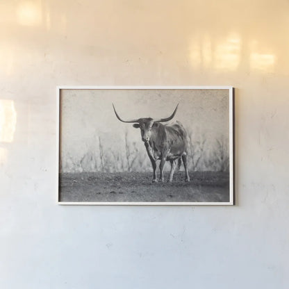 A Texas Longhorn by Debra Van Swearingen. shown as a paper print in a white frame. Available as a archival giclee rolled canvas, fine art paper, or poster print. SKU 81058i.