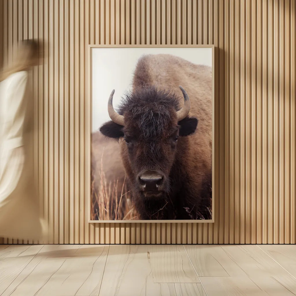 American Bison IV by Debra Van Swearingen. shown as over sized large wall art. Available as an archival giclee rolled canvas, fine art paper, or poster print. SKU 71673h.