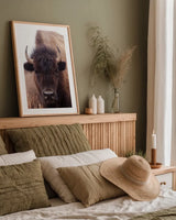 American Bison IV by Debra Van Swearingen. shown as a paper print in a natural frame. Available as a archival giclee rolled canvas, fine art paper, or poster print. SKU 71673h.