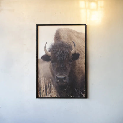 American Bison IV by Debra Van Swearingen. shown as a paper print in a black flame. Available as a archival giclee rolled canvas, fine art paper, or poster print. SKU 71673h.