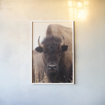 American Bison IV by Debra Van Swearingen. shown as a paper print in a white frame. Available as a archival giclee rolled canvas, fine art paper, or poster print. SKU 71673h.