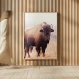 American Bison V by Debra Van Swearingen. shown as over sized large wall art. Available as an archival giclee rolled canvas, fine art paper, or poster print. SKU 71674h.