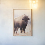 American Bison V by Debra Van Swearingen. shown as a paper print in a natural frame. Available as a archival giclee rolled canvas, fine art paper, or poster print. SKU 71674h.