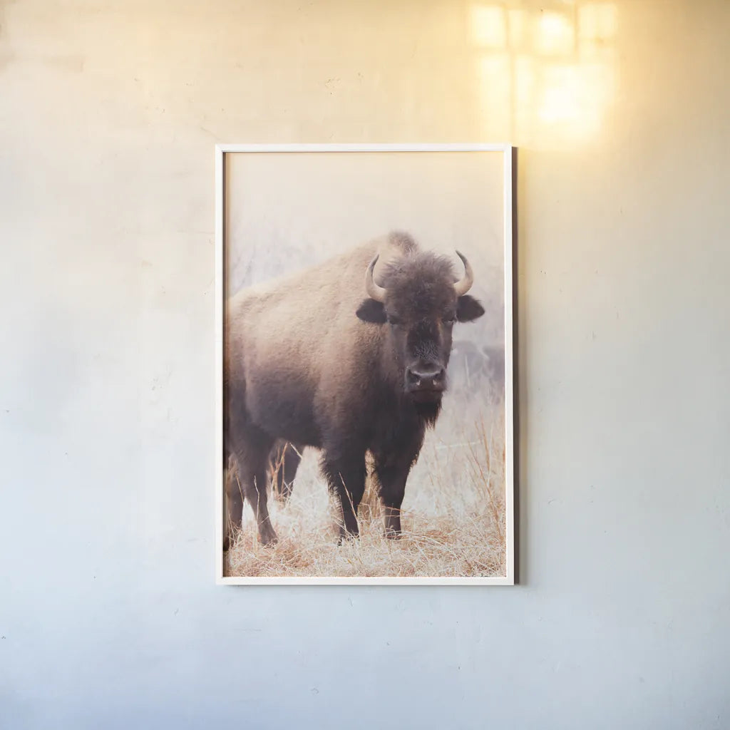 American Bison V by Debra Van Swearingen. shown as a paper print in a white frame. Available as a archival giclee rolled canvas, fine art paper, or poster print. SKU 71674h.