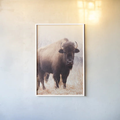 American Bison V by Debra Van Swearingen. shown as a paper print in a white frame. Available as a archival giclee rolled canvas, fine art paper, or poster print. SKU 71674h.
