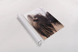 American Bison VI by Debra Van Swearingen. shown as a rolled paper print. Available as archival giclee rolled canvas, fine art paper, or poster print. SKU 71675h.