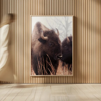 American Bison VI by Debra Van Swearingen. shown as over sized large wall art. Available as an archival giclee rolled canvas, fine art paper, or poster print. SKU 71675h.