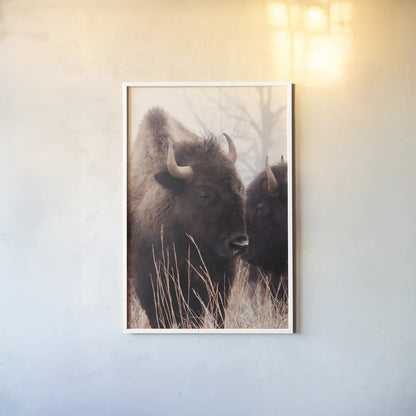 American Bison VI by Debra Van Swearingen. shown as a paper print in a white frame. Available as a archival giclee rolled canvas, fine art paper, or poster print. SKU 71675h.