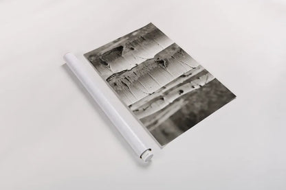 Aspens III by Debra Van Swearingen. shown as a rolled paper print. Available as archival giclee rolled canvas, fine art paper, or poster print. SKU 23507i.