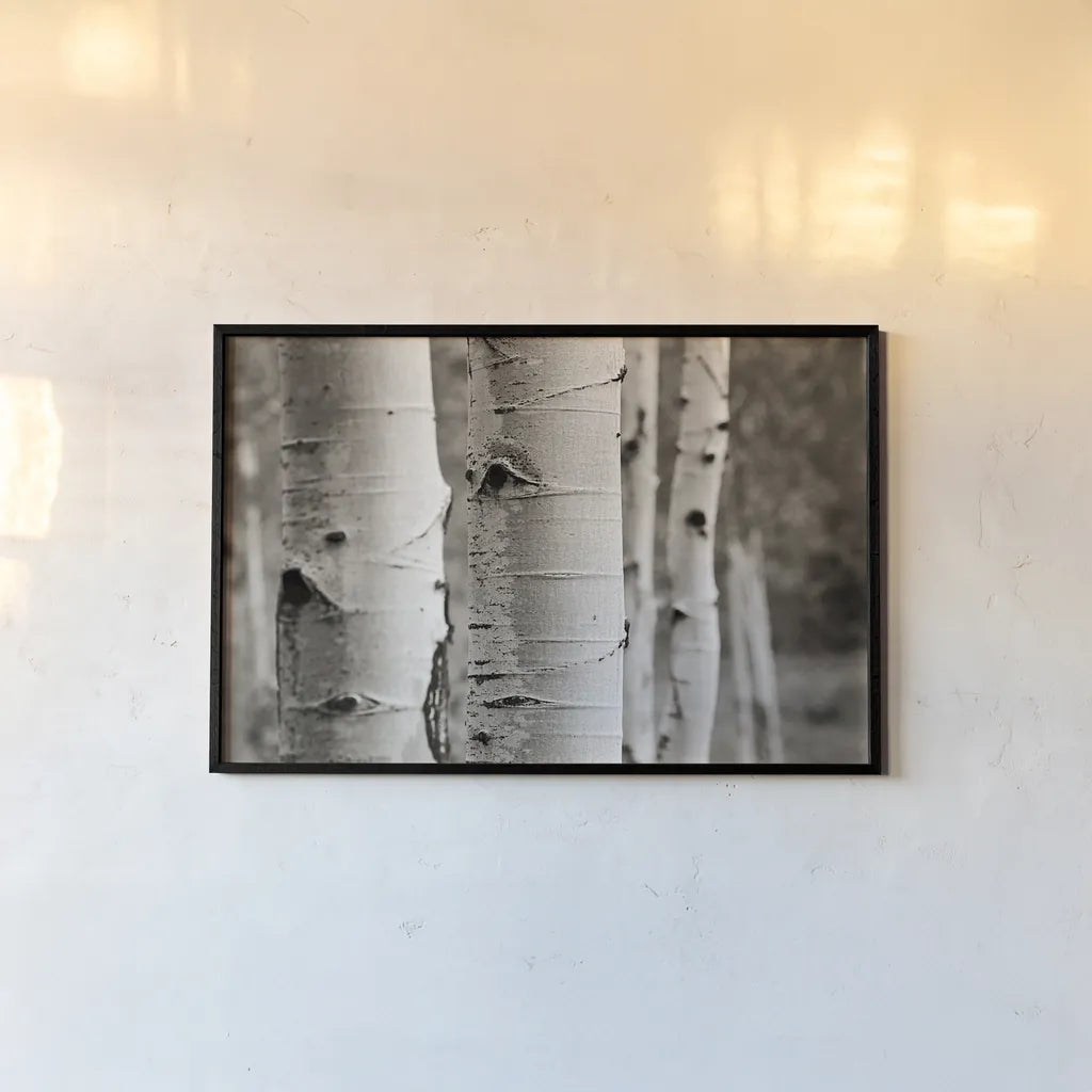 Aspens III by Debra Van Swearingen. shown as a paper print in a black flame. Available as a archival giclee rolled canvas, fine art paper, or poster print. SKU 23507i.