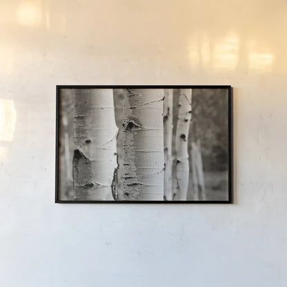 Aspens III by Debra Van Swearingen. shown as a paper print in a black flame. Available as a archival giclee rolled canvas, fine art paper, or poster print. SKU 23507i.