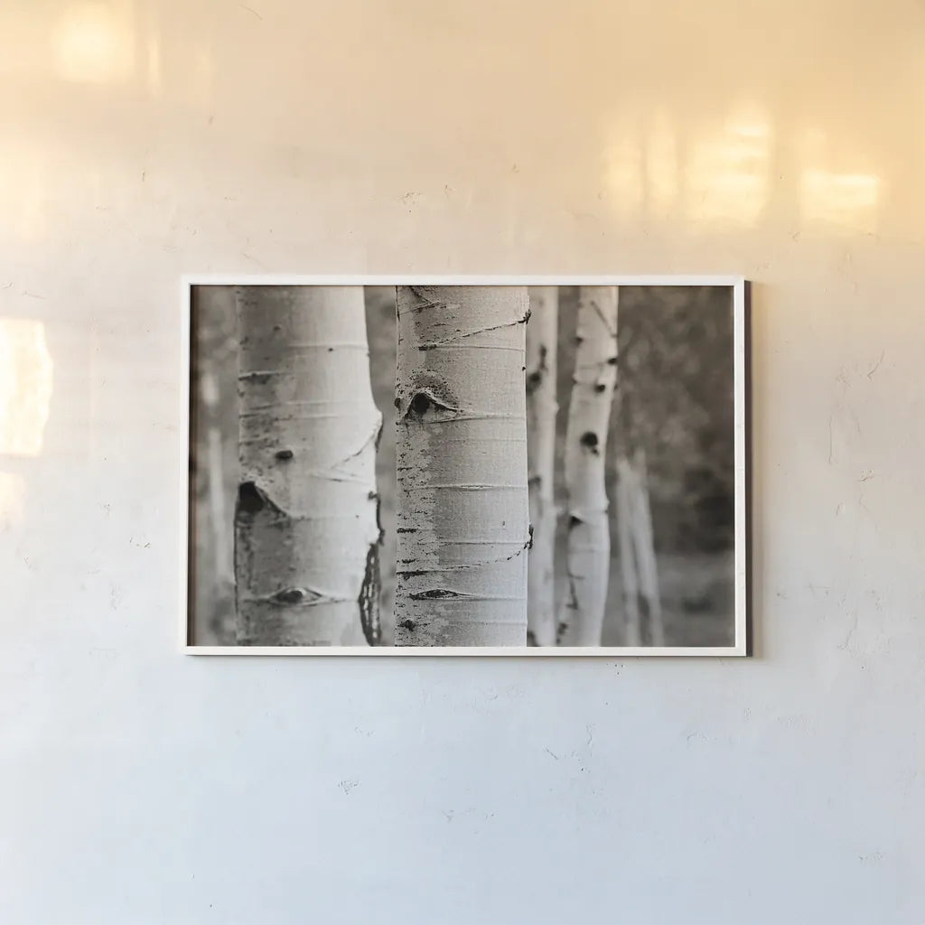 Aspens III by Debra Van Swearingen. shown as a paper print in a white frame. Available as a archival giclee rolled canvas, fine art paper, or poster print. SKU 23507i.