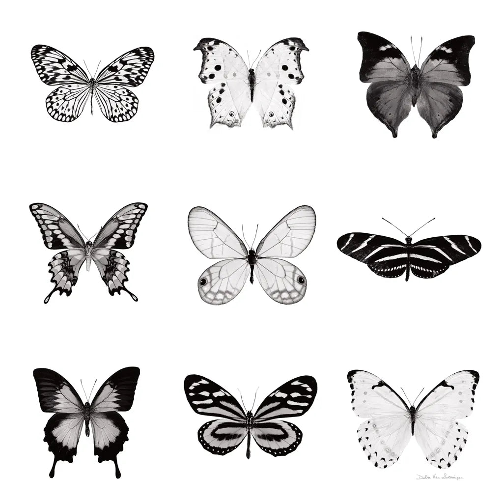 BW Butterfly Chart by Debra Van Swearingen. SKU 71330a. Archival Giclee Fine art print for wall decor.