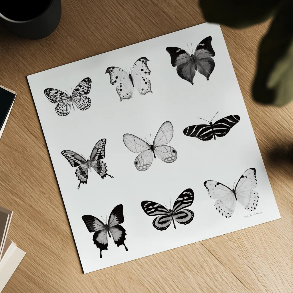 BW Butterfly Chart by Debra Van Swearingen. Shown as a detailed flat fine art print, highlighting archival giclee quality. Available as an archival giclee rolled canvas, fine art paper, or poster print. SKU 71330a.