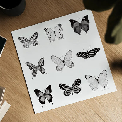 BW Butterfly Chart by Debra Van Swearingen. Shown as a detailed flat fine art print, highlighting archival giclee quality. Available as an archival giclee rolled canvas, fine art paper, or poster print. SKU 71330a.
