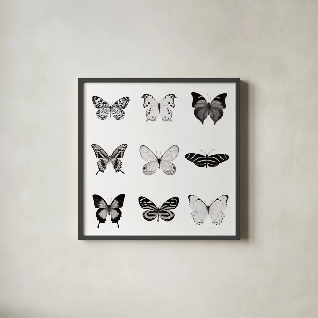 BW Butterfly Chart by Debra Van Swearingen. Shown in a sleek black glass frame for a contemporary gallery look. Available as an archival giclee rolled canvas, fine art paper, or poster print. SKU 71330a.