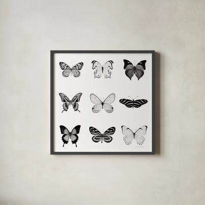 BW Butterfly Chart by Debra Van Swearingen. Shown in a sleek black glass frame for a contemporary gallery look. Available as an archival giclee rolled canvas, fine art paper, or poster print. SKU 71330a.