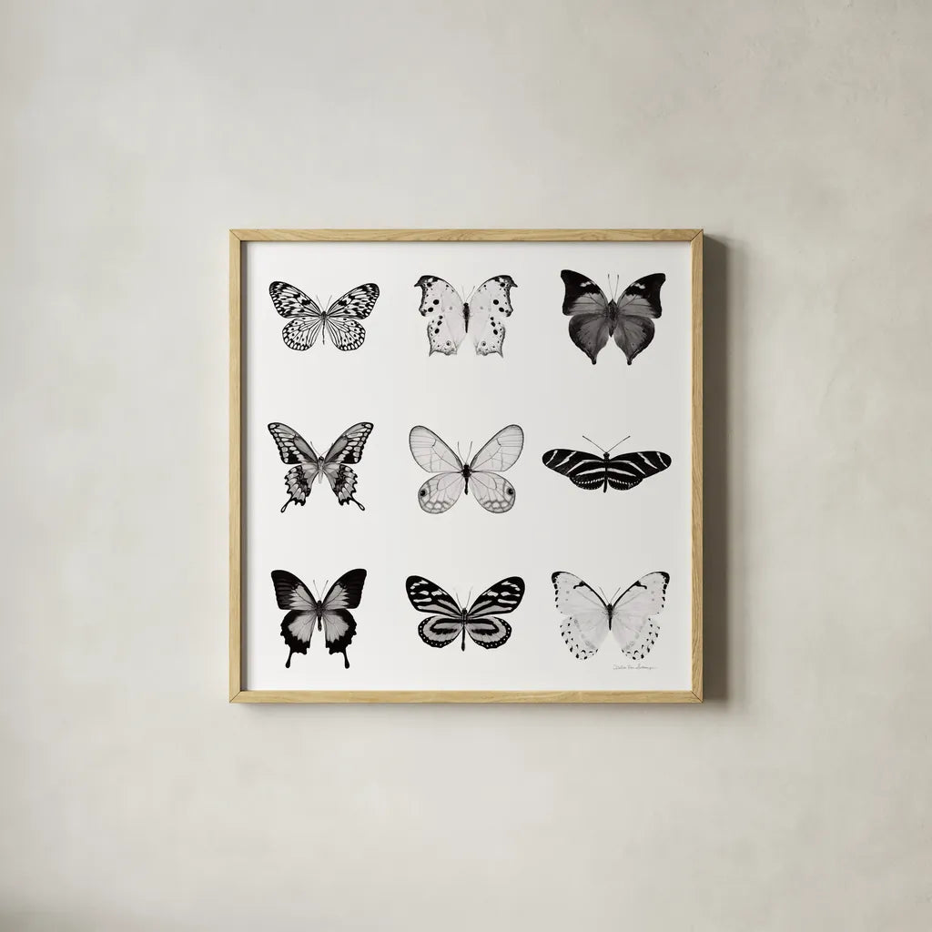 BW Butterfly Chart by Debra Van Swearingen. Shown in a natural wood glass frame for a timeless modern aesthetic. Available as an archival giclee rolled canvas, fine art paper, or poster print. SKU 71330a.
