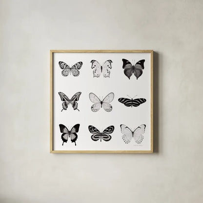 BW Butterfly Chart by Debra Van Swearingen. Shown in a natural wood glass frame for a timeless modern aesthetic. Available as an archival giclee rolled canvas, fine art paper, or poster print. SKU 71330a.