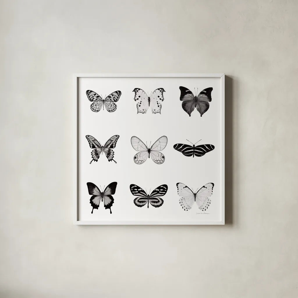 BW Butterfly Chart by Debra Van Swearingen. Shown in a crisp white glass frame for a clean and minimalist style. Available as an archival giclee rolled canvas, fine art paper, or poster print. SKU 71330a.