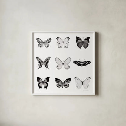 BW Butterfly Chart by Debra Van Swearingen. Shown in a crisp white glass frame for a clean and minimalist style. Available as an archival giclee rolled canvas, fine art paper, or poster print. SKU 71330a.