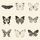 Butterfly BW 9 Patch by Debra Van Swearingen. SKU 27672a. Archival Giclee Fine art print for wall decor.