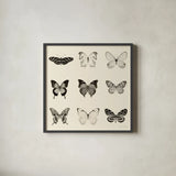 Butterfly BW 9 Patch by Debra Van Swearingen. Shown in a sleek black glass frame for a contemporary gallery look. Available as an archival giclee rolled canvas, fine art paper, or poster print. SKU 27672a.