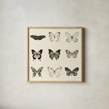 Butterfly BW 9 Patch by Debra Van Swearingen. Shown in a natural wood glass frame for a timeless modern aesthetic. Available as an archival giclee rolled canvas, fine art paper, or poster print. SKU 27672a.