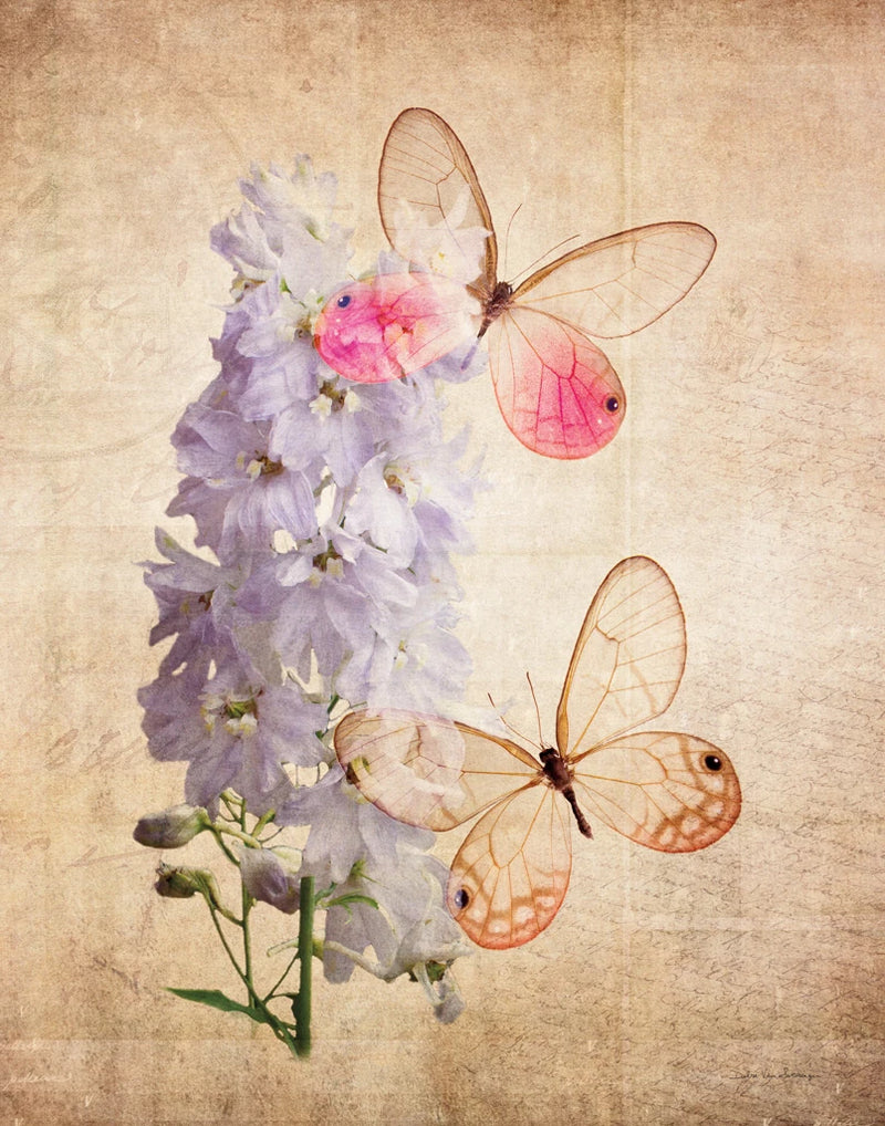 Butterfly Botanical I by Debra Van Swearingen