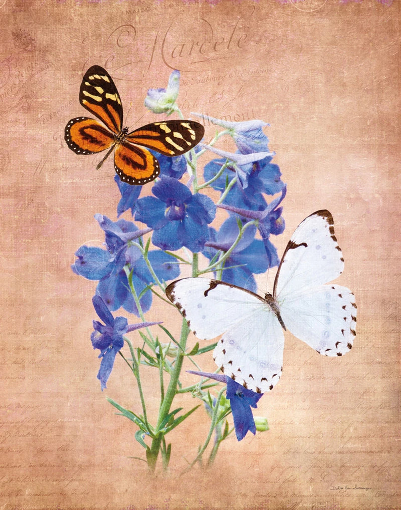 Butterfly Botanical III by Debra Van Swearingen