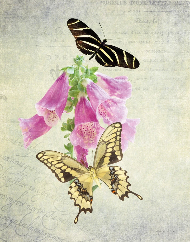 Butterfly Botanical IV by Debra Van Swearingen