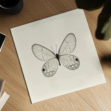 Butterfly I BW by Debra Van Swearingen. Shown as a detailed flat fine art print, highlighting archival giclee quality. Available as an archival giclee rolled canvas, fine art paper, or poster print. SKU 25722a.