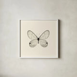Butterfly I BW by Debra Van Swearingen. Shown in a crisp white glass frame for a clean and minimalist style. Available as an archival giclee rolled canvas, fine art paper, or poster print. SKU 25722a.