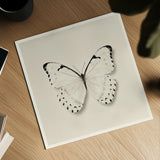 Butterfly II BW by Debra Van Swearingen. Shown as a detailed flat fine art print, highlighting archival giclee quality. Available as an archival giclee rolled canvas, fine art paper, or poster print. SKU 25723a.