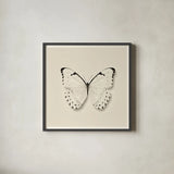 Butterfly II BW by Debra Van Swearingen. Shown in a sleek black glass frame for a contemporary gallery look. Available as an archival giclee rolled canvas, fine art paper, or poster print. SKU 25723a.