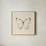 Butterfly II BW by Debra Van Swearingen. Shown in a natural wood glass frame for a timeless modern aesthetic. Available as an archival giclee rolled canvas, fine art paper, or poster print. SKU 25723a.