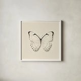 Butterfly II BW by Debra Van Swearingen. Shown in a crisp white glass frame for a clean and minimalist style. Available as an archival giclee rolled canvas, fine art paper, or poster print. SKU 25723a.