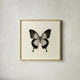 Butterfly III BW by Debra Van Swearingen. Shown in a natural wood glass frame for a timeless modern aesthetic. Available as an archival giclee rolled canvas, fine art paper, or poster print. SKU 25724a.