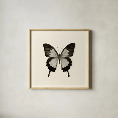 Butterfly III BW by Debra Van Swearingen. Shown in a natural wood glass frame for a timeless modern aesthetic. Available as an archival giclee rolled canvas, fine art paper, or poster print. SKU 25724a.