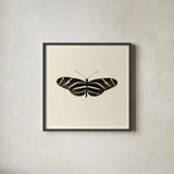 Butterfly IX BW by Debra Van Swearingen. Shown in a sleek black glass frame for a contemporary gallery look. Available as an archival giclee rolled canvas, fine art paper, or poster print. SKU 27640a.