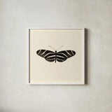 Butterfly IX BW by Debra Van Swearingen. Shown in a crisp white glass frame for a clean and minimalist style. Available as an archival giclee rolled canvas, fine art paper, or poster print. SKU 27640a.