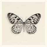 Butterfly V BW by Debra Van Swearingen. SKU 25726a. Archival Giclee Fine art print for wall decor.