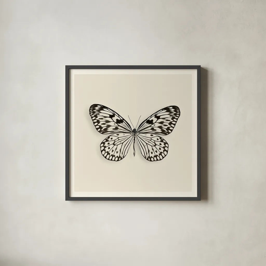 Butterfly V BW by Debra Van Swearingen. Shown in a sleek black glass frame for a contemporary gallery look. Available as an archival giclee rolled canvas, fine art paper, or poster print. SKU 25726a.