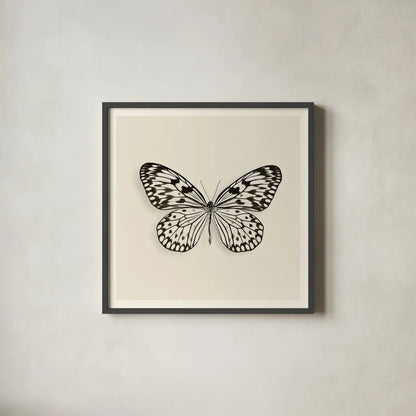 Butterfly V BW by Debra Van Swearingen. Shown in a sleek black glass frame for a contemporary gallery look. Available as an archival giclee rolled canvas, fine art paper, or poster print. SKU 25726a.