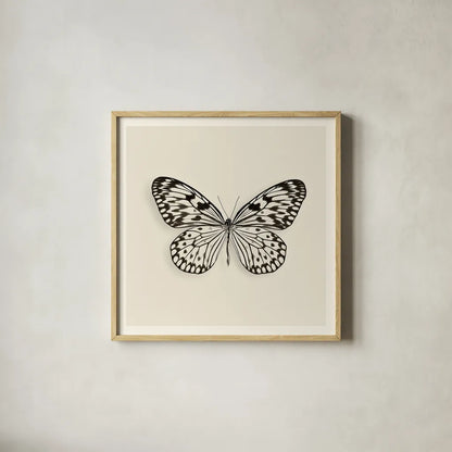 Butterfly V BW by Debra Van Swearingen. Shown in a natural wood glass frame for a timeless modern aesthetic. Available as an archival giclee rolled canvas, fine art paper, or poster print. SKU 25726a.
