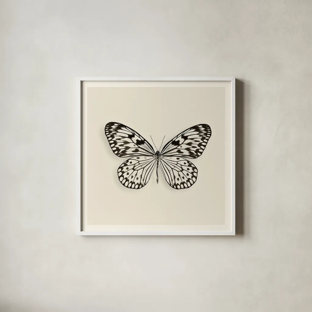 Butterfly V BW by Debra Van Swearingen. Shown in a crisp white glass frame for a clean and minimalist style. Available as an archival giclee rolled canvas, fine art paper, or poster print. SKU 25726a.