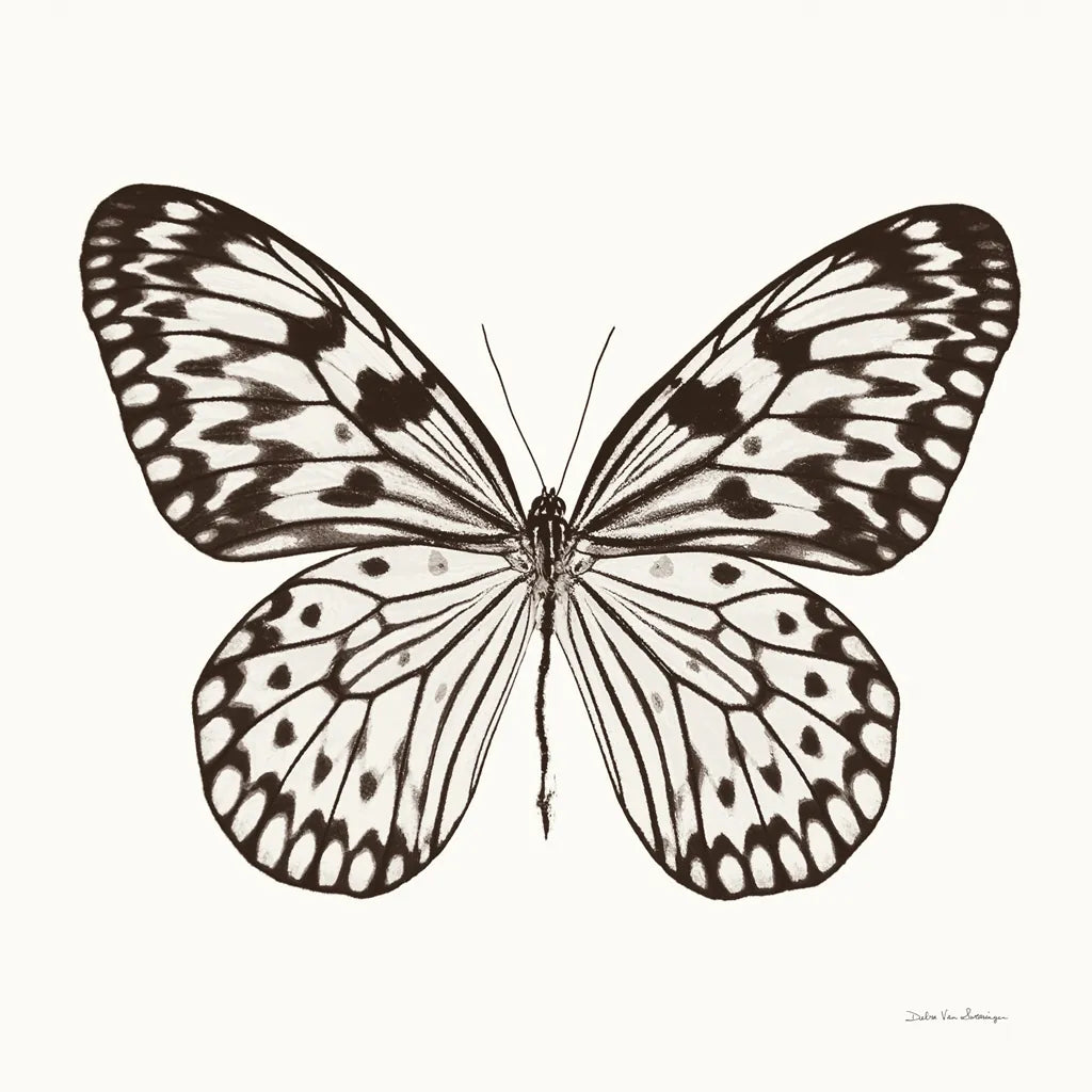 Butterfly V BW on White by Debra Van Swearingen. SKU 92206a. Archival Giclee Fine art print for wall decor.