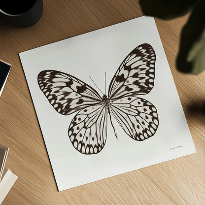Butterfly V BW on White by Debra Van Swearingen. Shown as a detailed flat fine art print, highlighting archival giclee quality. Available as an archival giclee rolled canvas, fine art paper, or poster print. SKU 92206a.
