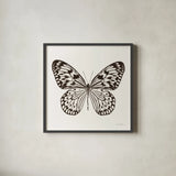 Butterfly V BW on White by Debra Van Swearingen. Shown in a sleek black glass frame for a contemporary gallery look. Available as an archival giclee rolled canvas, fine art paper, or poster print. SKU 92206a.